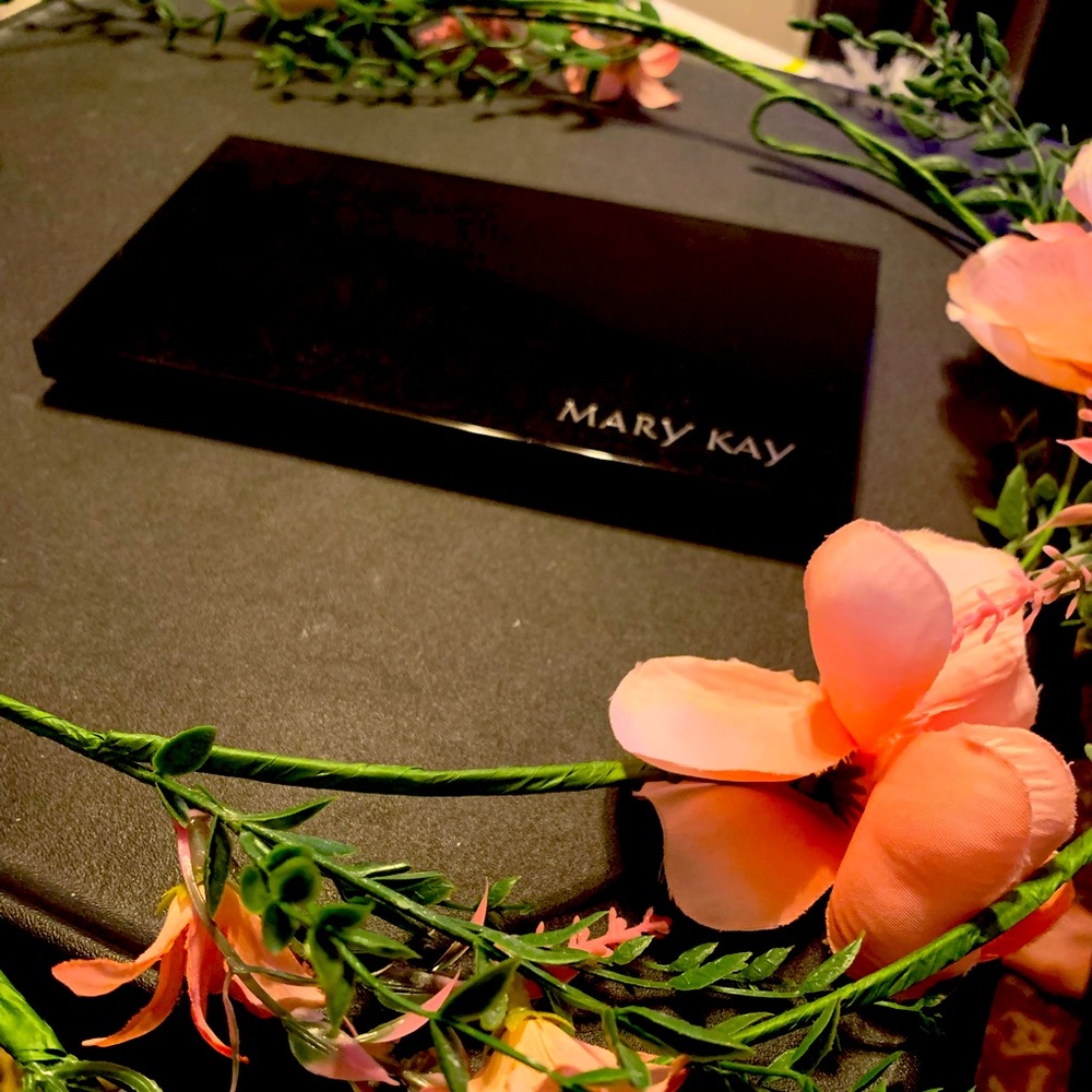 ❤️3 for $25! Mary Kay Pro Palette Unfilled